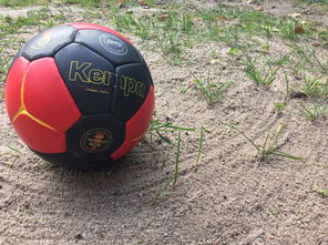 米兰真人-全国老年人健身球操赛展银发激情，老年健身球类