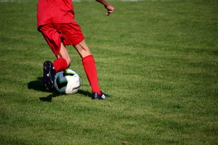 米兰体育·「中国」官方网站-意甲裁判语义辅助判罚系统提升比赛公平性研究，意甲裁判球衣赞助商